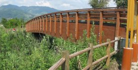 Bridge - Lucca LU